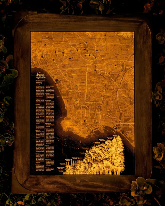 Los Angeles Vegetation Map Art