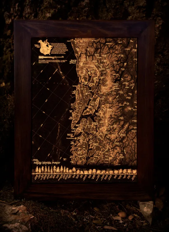 Tongass National Forest Backlit Map